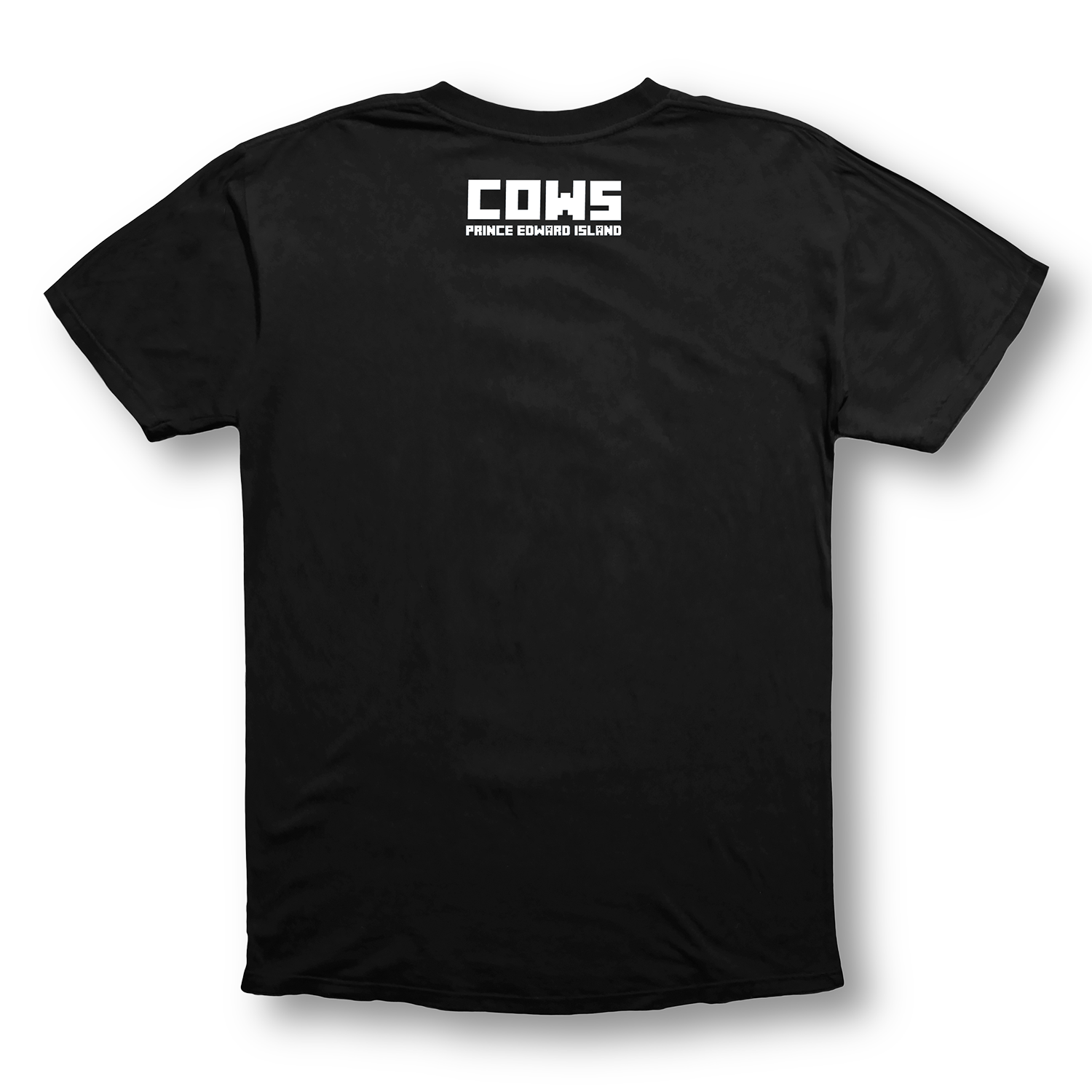 MOOcraft Youth T