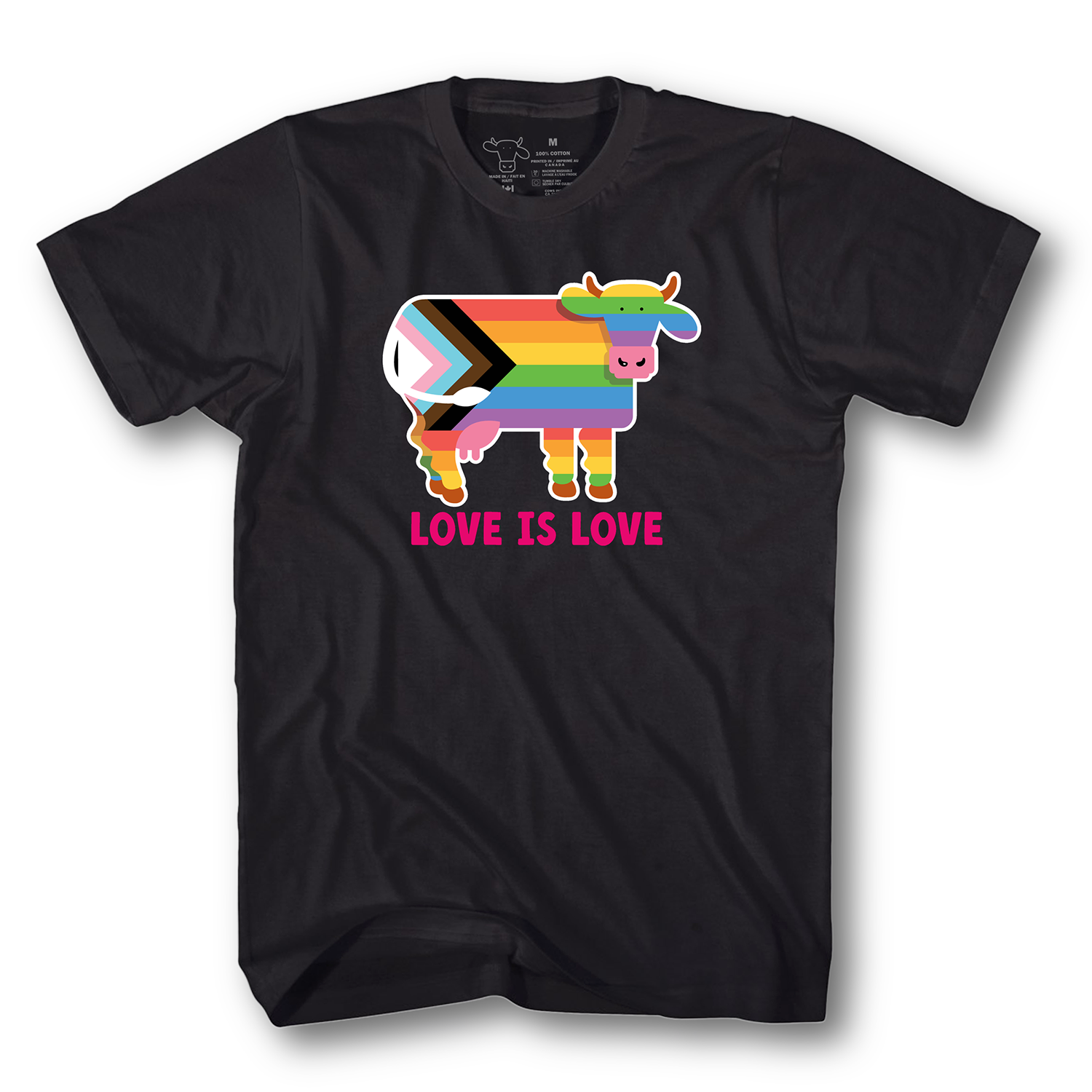 Pride Adult/Youth T