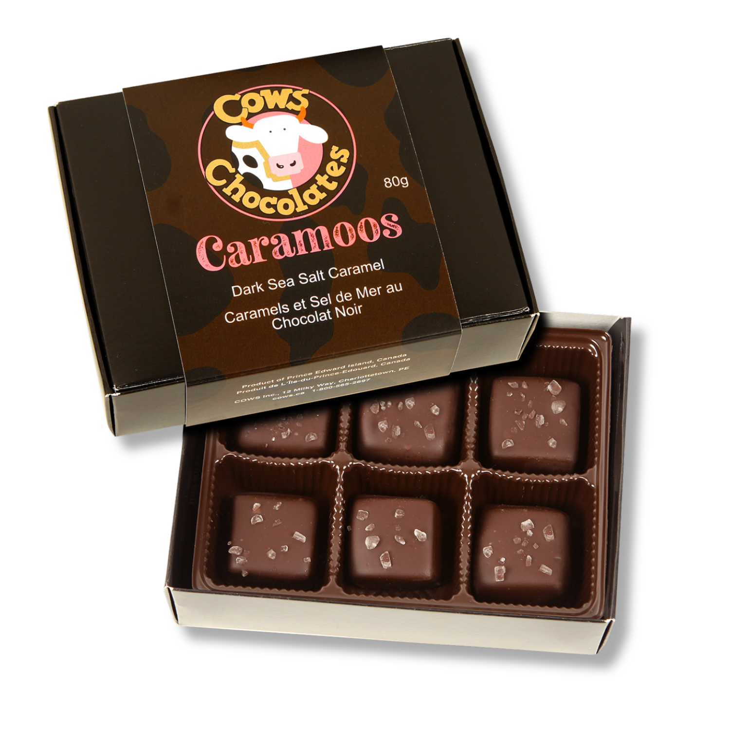 COWS Chocolates - CaraMOOs