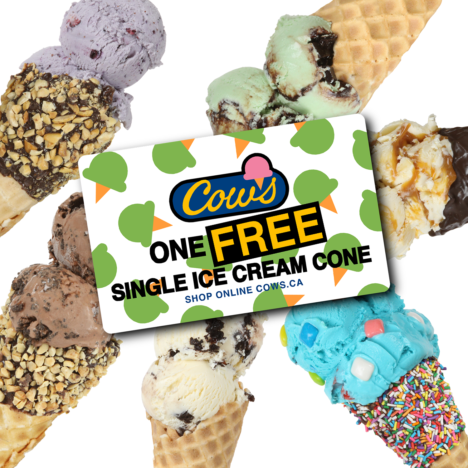 Ice Cream Coupon