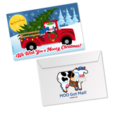 Greeting Cards