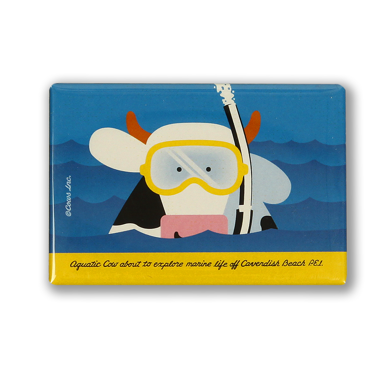 Snorkel Magnet