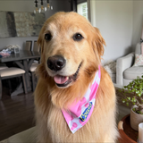 Dog Bandana - Pink Spots
