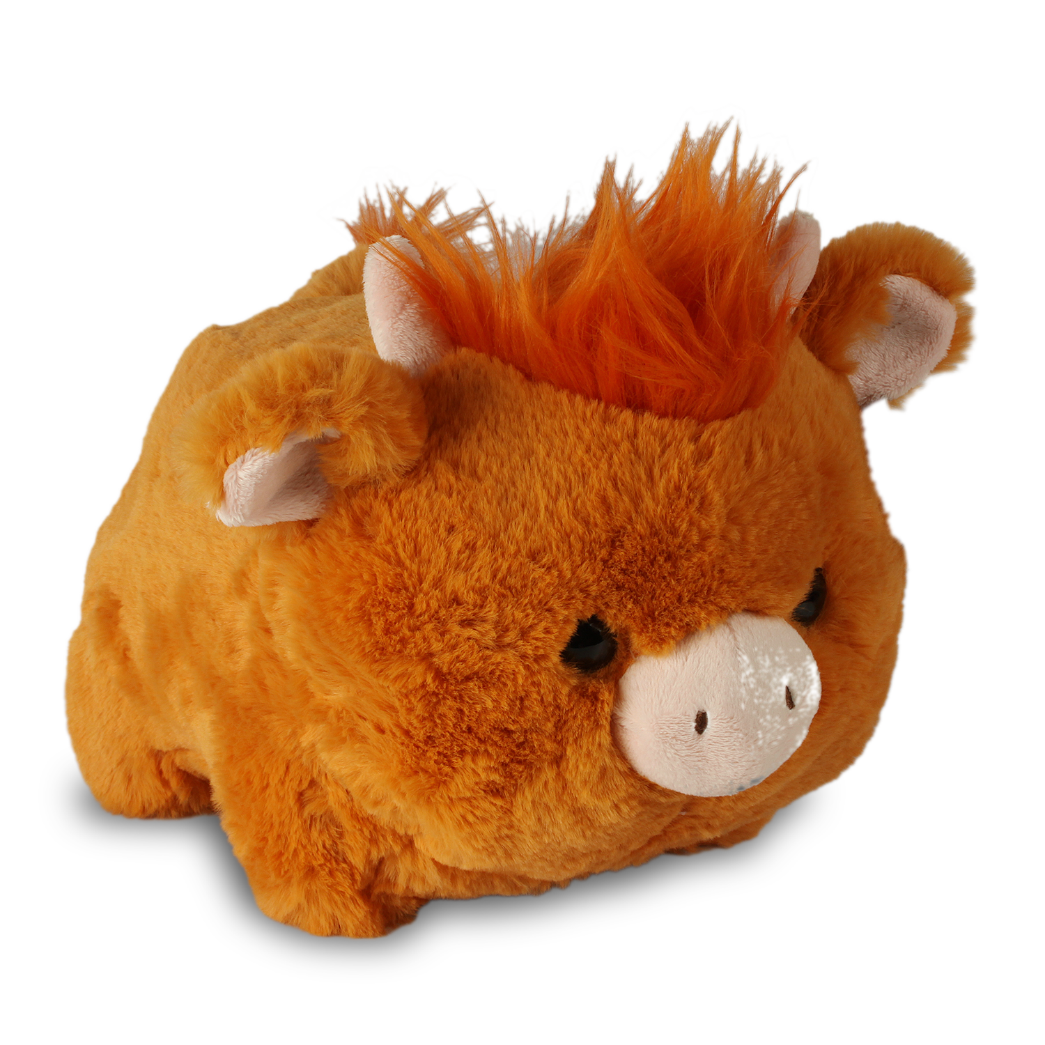 Spudsters - Hamish Highland Cow