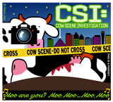 CSI CLASSIC T IMAGE